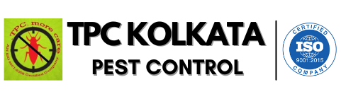 Pest Control in Kolkata, Termite Control in Kolkata, Bed Bugs Control in Kolkata, Cockroach Control in Kolkata, Rodent Control in Kolkata
